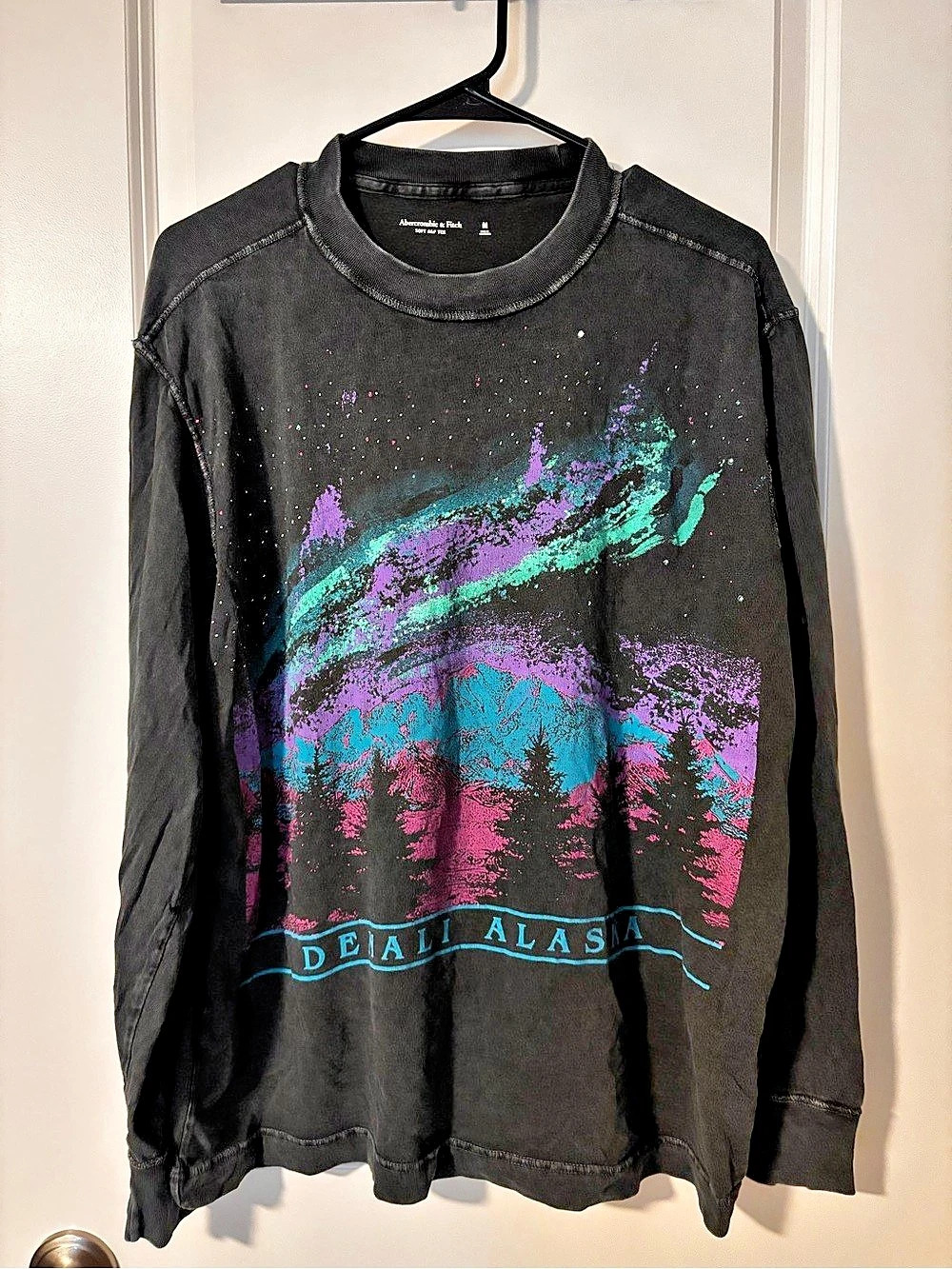 Soft A&F Denali Northern Lights Alaska Graphic Long Sleeve Tee